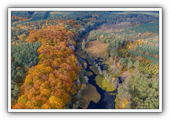 Dolina Rzeki Mątawy – nowy rezerwat przyrody z 2025 roku